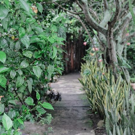 Plambi Tiara Homestay מראה חיצוני תמונה