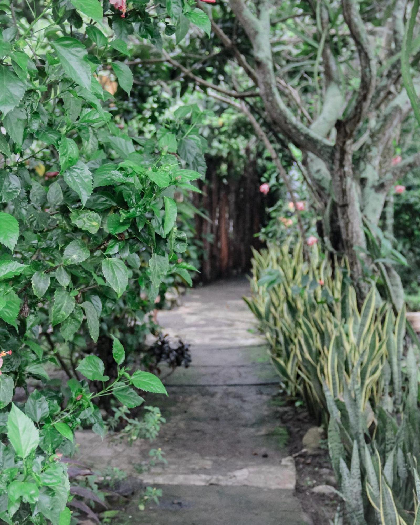 Plambi Tiara Homestay מראה חיצוני תמונה